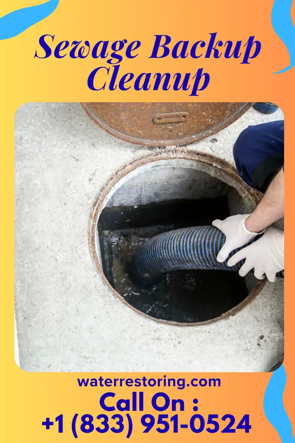 Sewage Backup Cleanup in Hudson, IN