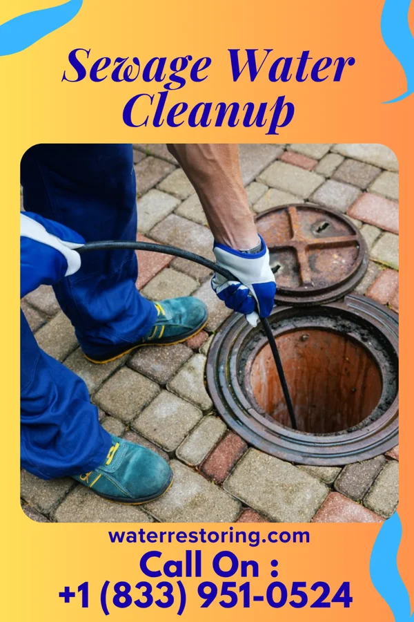 Sewage Water Cleanup in Hudson, IN